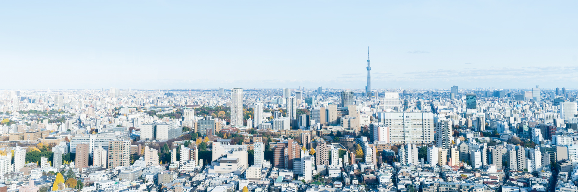 本社屋上から眺める東京の風景